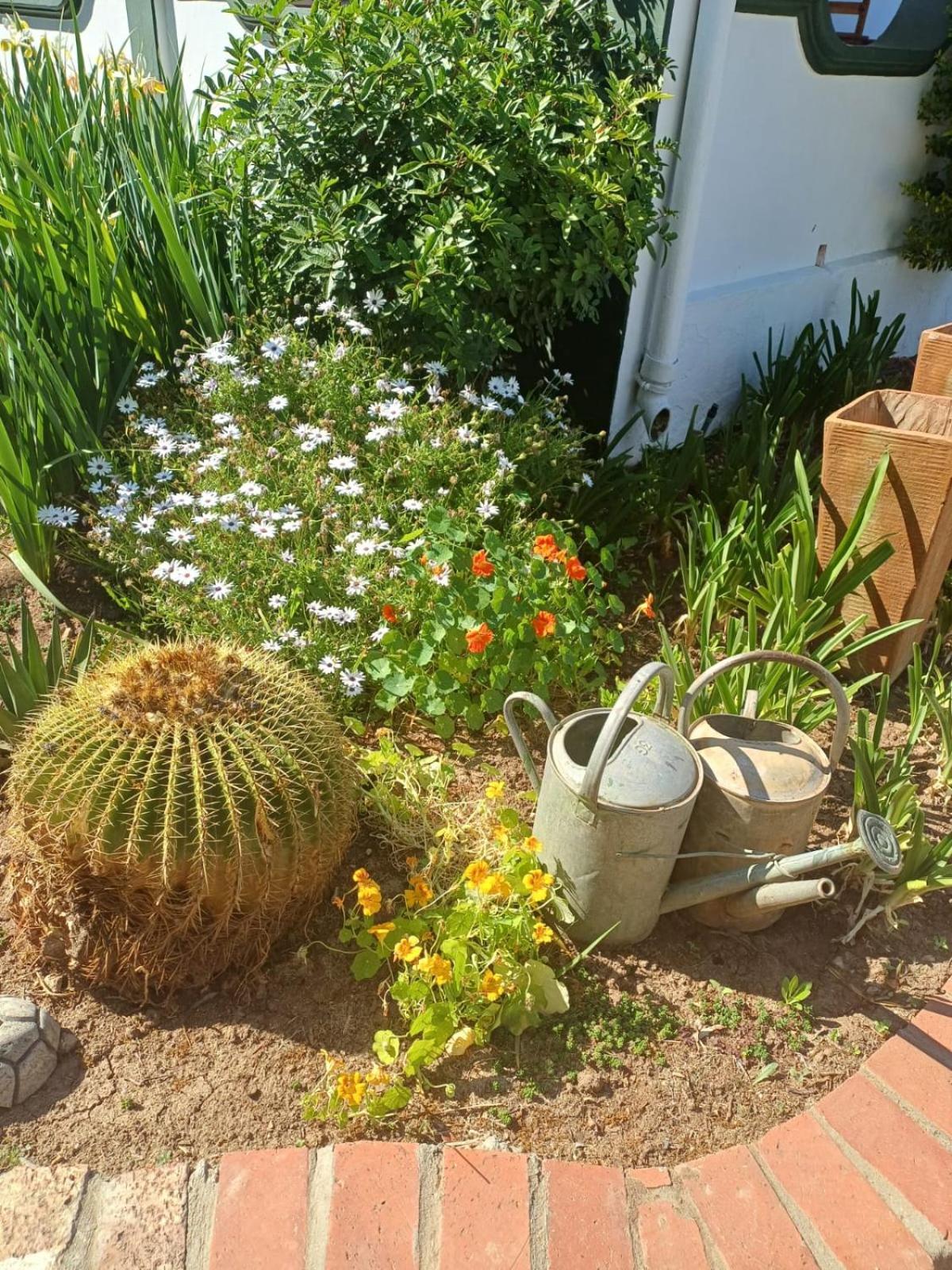 De Oude Yotclub Bed & Breakfast Oudtshoorn Exterior photo